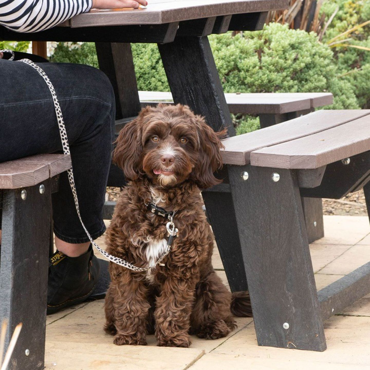 Your local dog friendly pub in Burton upon Trent